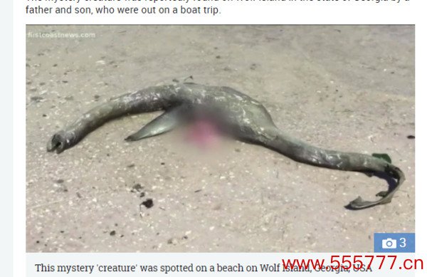 美國一名男子瓦倫（Jeff Warren）上週與兒子一同划船到喬治亞州的沃爾夫島（Wolf Island）時，竟發現沙灘上躺了一個「謎樣生物」，牠有長長的尾巴，還有魚鰭，就宛如傳說中的「尼斯湖水怪」。（圖／翻攝自太陽報）